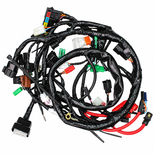 Ramal Eléctrico Completo TVS original N6160940
