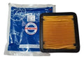 Filtro Aire Tvs Apache 200
