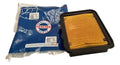 Filtro Aire Tvs Rtr Apache 200 Fi