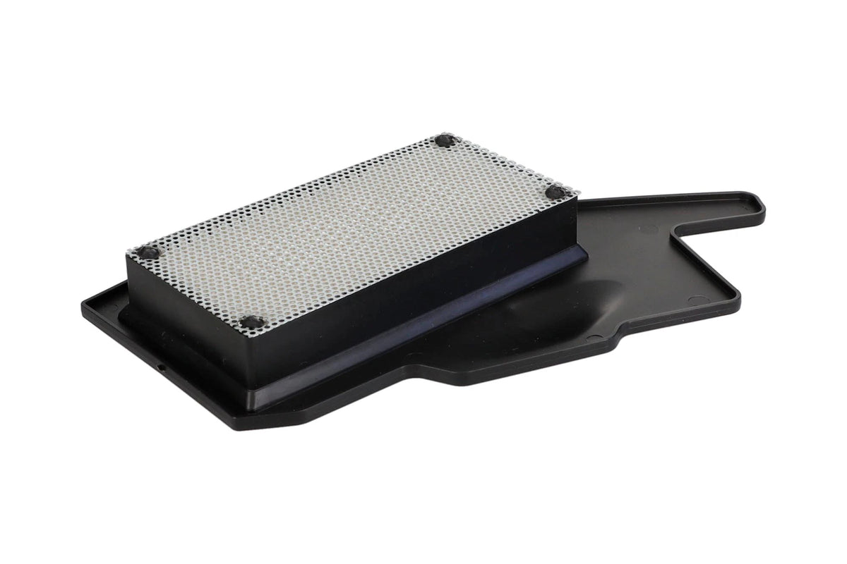 Filtro de aire TVS Raider 125