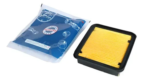 Filtro Aire Tvs 200, Tvs 160 Tvs Original