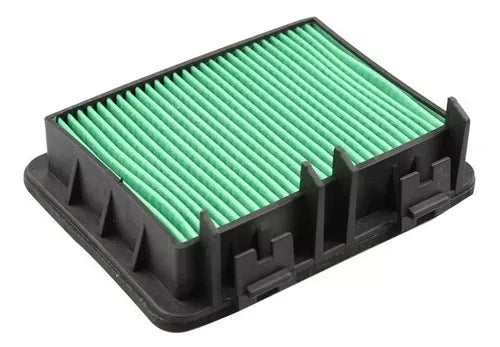 Filtro Aire DUKE-200/250/390 Ng Org