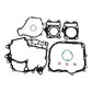 Kit de Empaques Completo TVS Raider 125 Original – N6321600